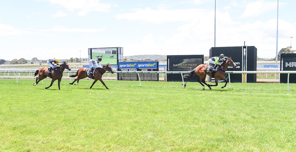 Divine Dot - Mornington 23rd December 2025